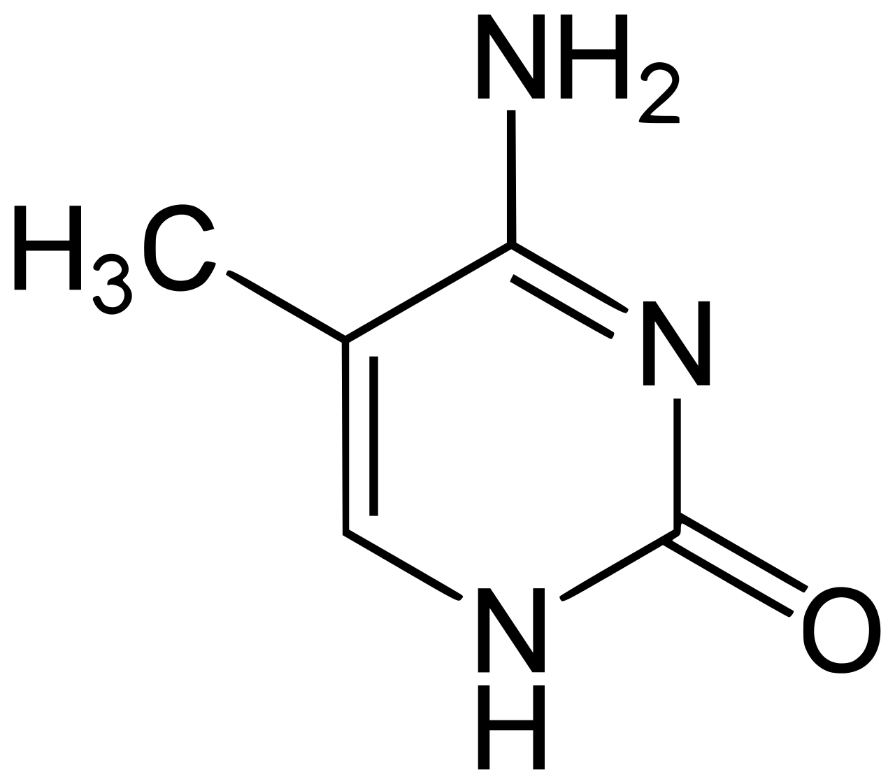 methylated cytosine diagram